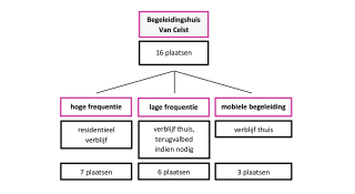 Schema met aantal plaatsen: 16 in totaal voor het begeleidingshuis, 7 plaatsen voor hoge frequentie (residentieel verblijf), 6 plaatsen voor lage frequentie (verblijf thuis, terugvalbed indien nodig), 3 plaatsen mobiele begeleiding (verblijf thuis)