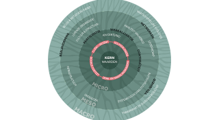 Visual van het intersectoraal kwaliteitskader